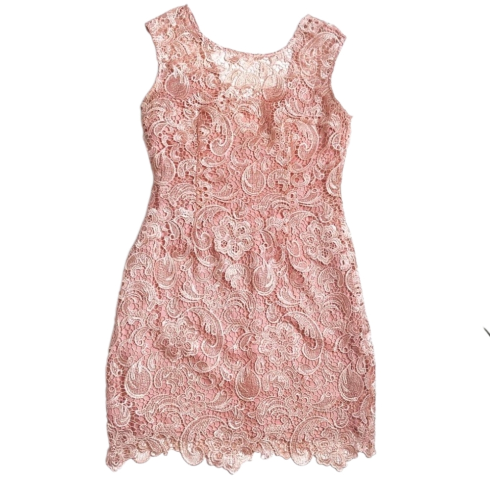 AINA BE Sleeveless Lace Overlay Cocktail Dress Peach Hidden Back Zip Lined SM
